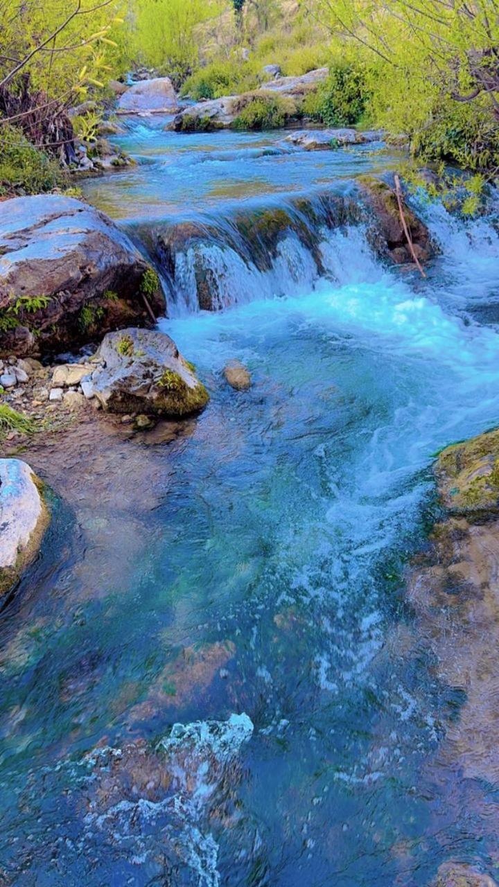 Rivulet Resort & Camping Mussoorie Εξωτερικό φωτογραφία