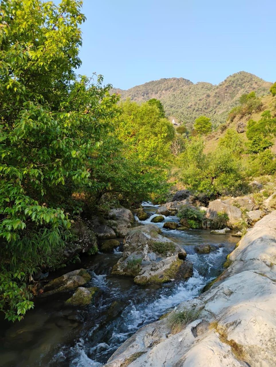 Rivulet Resort & Camping Mussoorie Εξωτερικό φωτογραφία