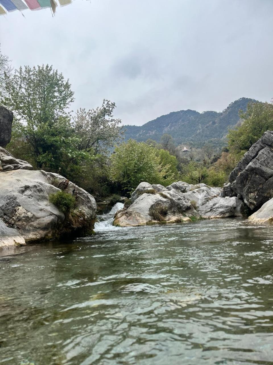 Rivulet Resort & Camping Mussoorie Εξωτερικό φωτογραφία